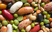 LEGUMES